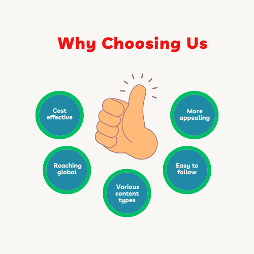 Why Choose Us